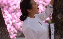 狗狗配人怎么配电视